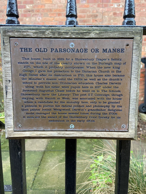 Clue 11