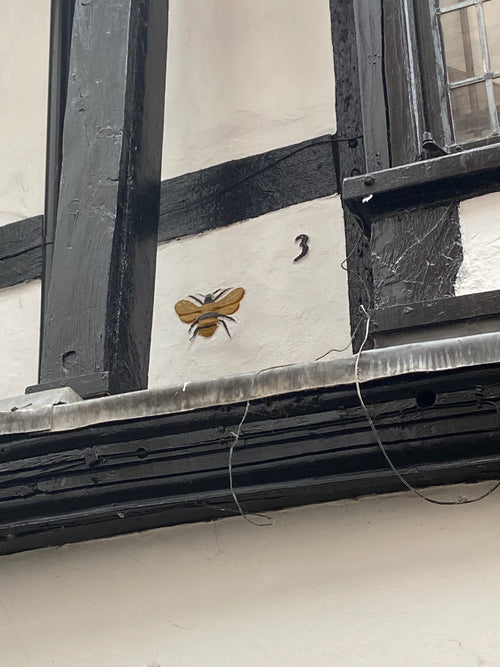 Clue 14
