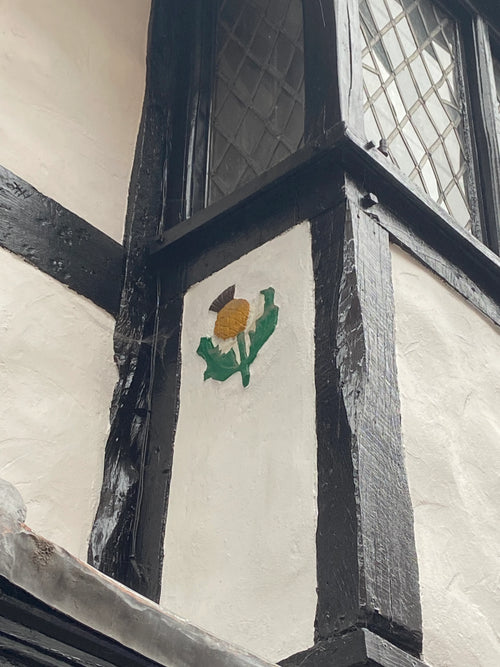 Clue 14 D