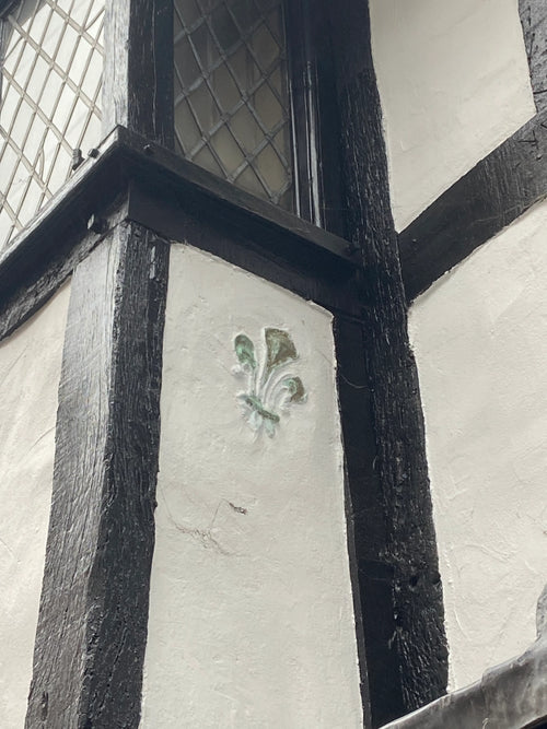 Clue 14 E