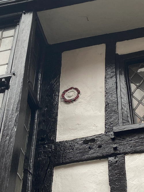 Clue 14 F