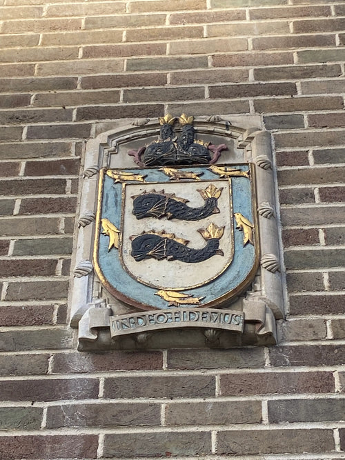 Clue 8